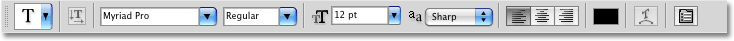 The Options Bar displaying options for the Type Tool. Image  2009 Photoshop Essentials.com.